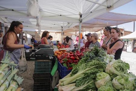 Imagen La Diputación de Segovia concede 118 ayudas para mantener vivo el comercio de los pueblos de la provincia por un montante total de...